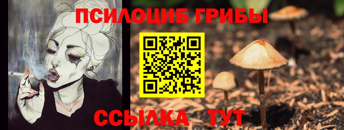 Галлюциногенные грибы мицелий Муром