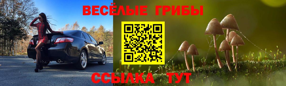 Галлюциногенные грибы прущие грибы  Псилоцибиновые грибы Magic Shrooms  Вход с VPN  Муром 